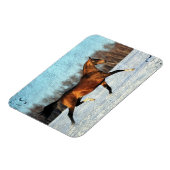 Winter Akhal-teke Magnet (Linke Seite)