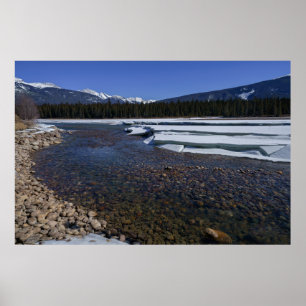 Winter am Fluss Athabasca Poster