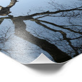 Winter am Jamaika-Teich, 8 x 10 Foto drucken (Ecke)