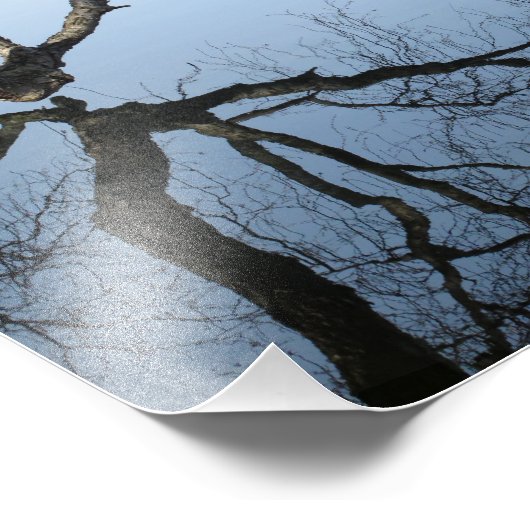 Winter am Jamaika-Teich, 8 x 10 Foto drucken (Ecke)