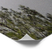 Winter am Whiskeytown See.. Poster (Ecke)