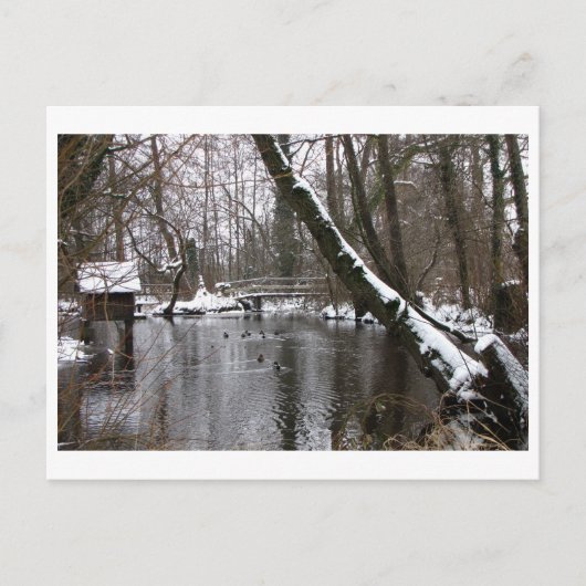 Winter an der Wümme Postkarte (Vorderseite)