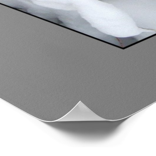 Winter Architecture Poster by gretchen (Ecke)