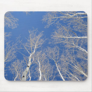 Winter Aspen Trees Mousepad
