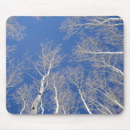 Winter Aspen Trees Mousepad (Vorne)
