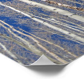 Winter Aspen Trees Poster (Ecke)
