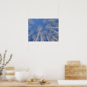 Winter Aspen Trees Poster (Küche)