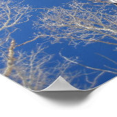 Winter Aspen Trees Poster (Ecke)