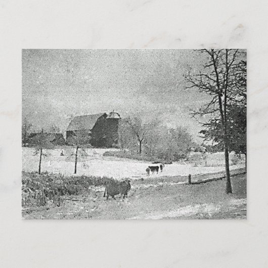 Winter auf dem Bauernhof Postkarte (Vorderseite)