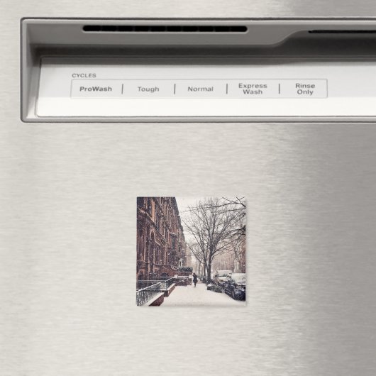 Winter auf der oberwestlichen Seite Magnet (In Situ (Geschirrspüler))