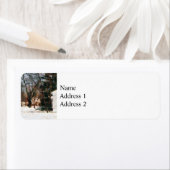 Winter auf meiner Straße (Insitu)