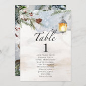 Winter Baby Shower Tischnummer und Gästebamen (Vorne/Hinten)