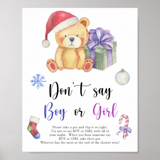 Winter Bär - Sag nicht Junge oder Mädchen Poster (Vorne)