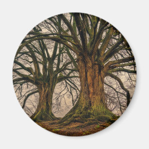 Winter-Baum-abstraktes Muster Magnet