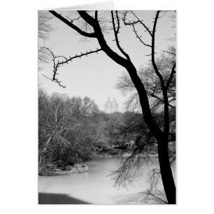 Winter-Baum - Central Park NYC