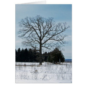 Winter-Baum-Freude-Karte