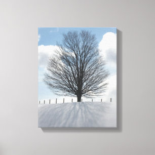Winter-Baum im Michigan-Foto-Leinwand-Kunst-Druck Leinwanddruck