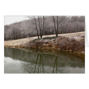 Winter-Bäume reflektiert