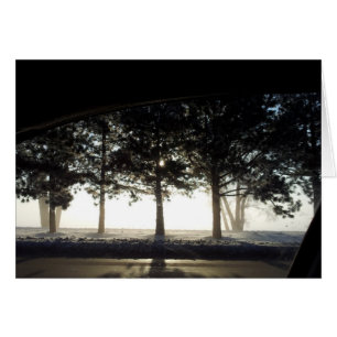 Winter-Bäume vom Auto