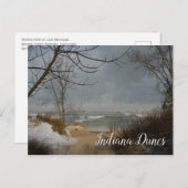 Winter Beach, Lake, Indiana Dunes Ntl.Lakeshore Postkarte (Vorne/Hinten)