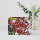 Winter-Beeren Postkarte (Stehend Vorderseite)