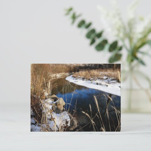 Winter bei Bach Postkarte (Stehend Vorderseite)