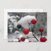 Winter Berries Postkarte (Vorne/Hinten)