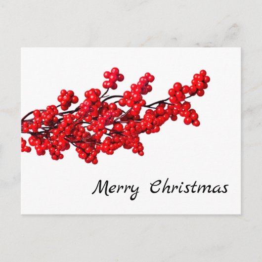 Winter Berries und Holiday Cheer Postkarte (Vorderseite)