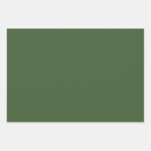 Winter Berry & Evergreen Weihnachtsgeschenk - Set Geschenkpapier Set (Vorderseite 2)