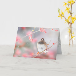 "Winter Berry Junco", 5" x 7" geklappte Grußkarte Karte