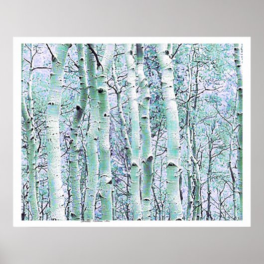 Winter Birch Poster (Vorne)