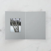 Winter Birch Trees Karte (Innenseite)