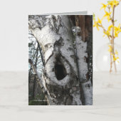 Winter Birch Trees Karte (Gelbe Blume)