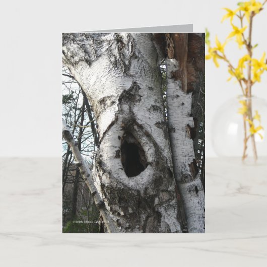 Winter Birch Trees Karte (Gelbe Blume)