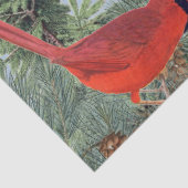 Winter Bird Forest Kardinal Chickadee Nuthatch Sky Seidenpapier (Detail)