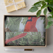 Winter Bird Forest Kardinal Chickadee Nuthatch Sky Seidenpapier (Geschenk)