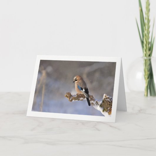 Winter Bird Greeting Card Feiertagskarte (Vorderseite)