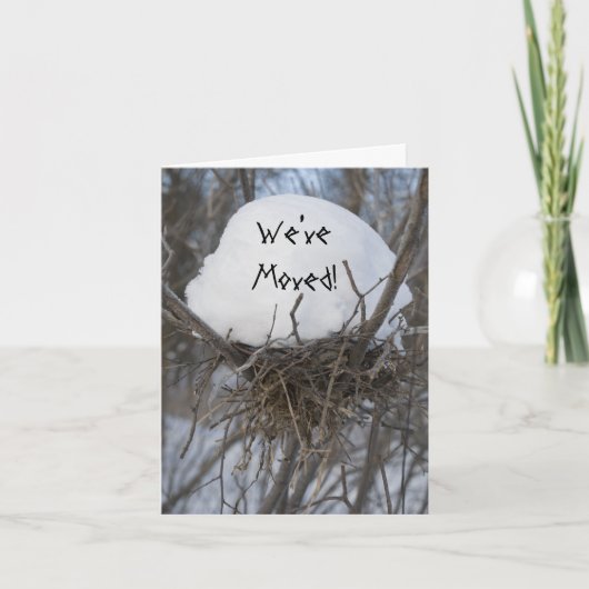 Winter Bird Nest Änderung der Adresse Ankündigung (Vorderseite)