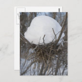 Winter Bird Nest Postkarte (Vorne/Hinten)