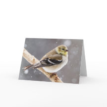 Winter Bird Snow Scene - American Goldfinch