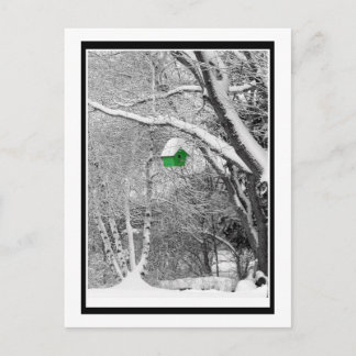 Winter Birdhouse Postkarte