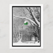 Winter Birdhouse Postkarte (Vorderseite)