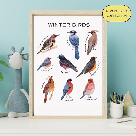 Winter Birds Educational Poster