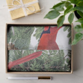 Winter Birds Forest Kardinal Chickadee Nuthatch Seidenpapier (Geschenk)