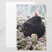 Winter Blackbird Briefpapier (Vorne/Hinten)