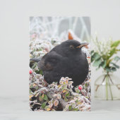 Winter Blackbird Briefpapier (Stehend Vorderseite)