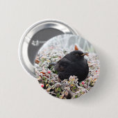 Winter Blackbird Button (Vorne & Hinten)