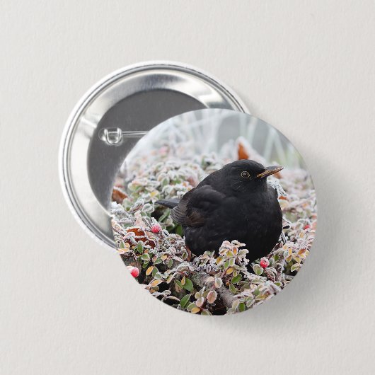 Winter Blackbird Button (Vorne & Hinten)