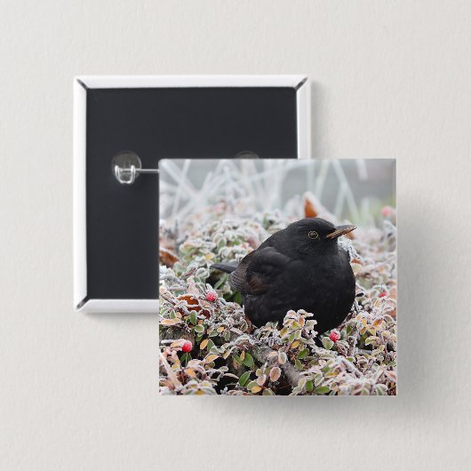 Winter Blackbird Button (Vorne & Hinten)