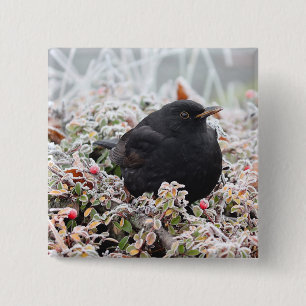 Winter Blackbird Button